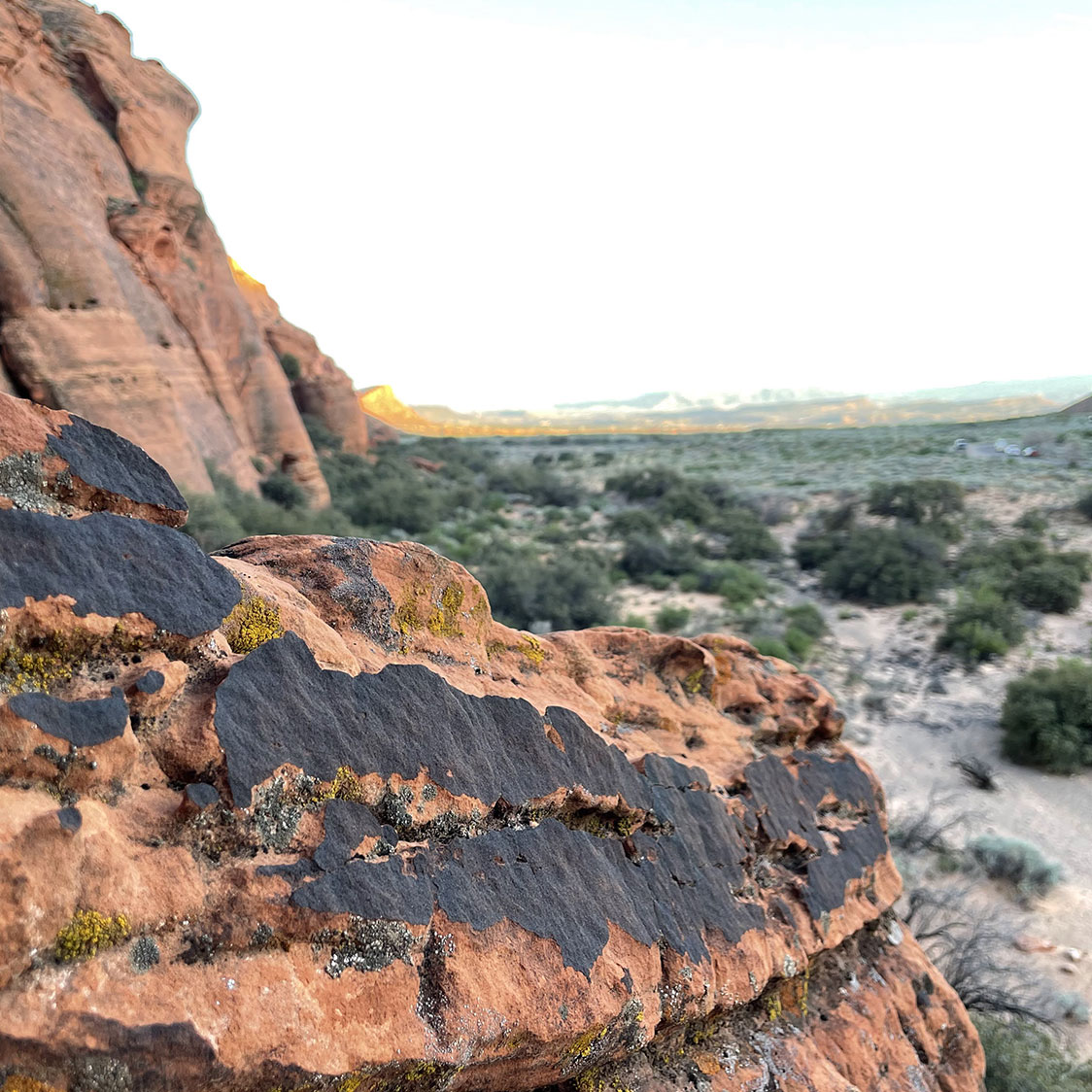 Desert Varnish in Snow Canyon State Park