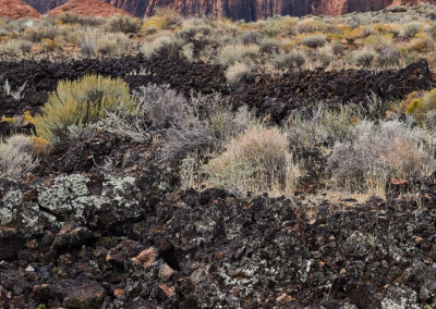 Lava rock in Snow Canyon State Park