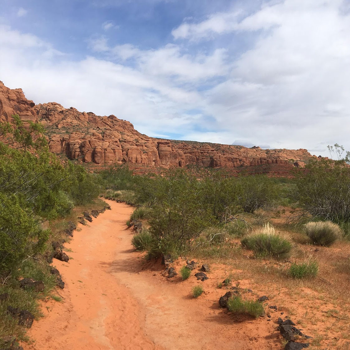 Johnson Canyon Trail Snow Canyon State Park