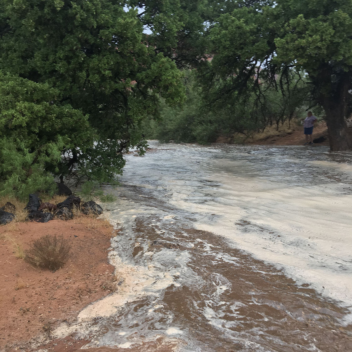Snow-canyon-pic-8 Flash flooding in Snow Canyon State Park