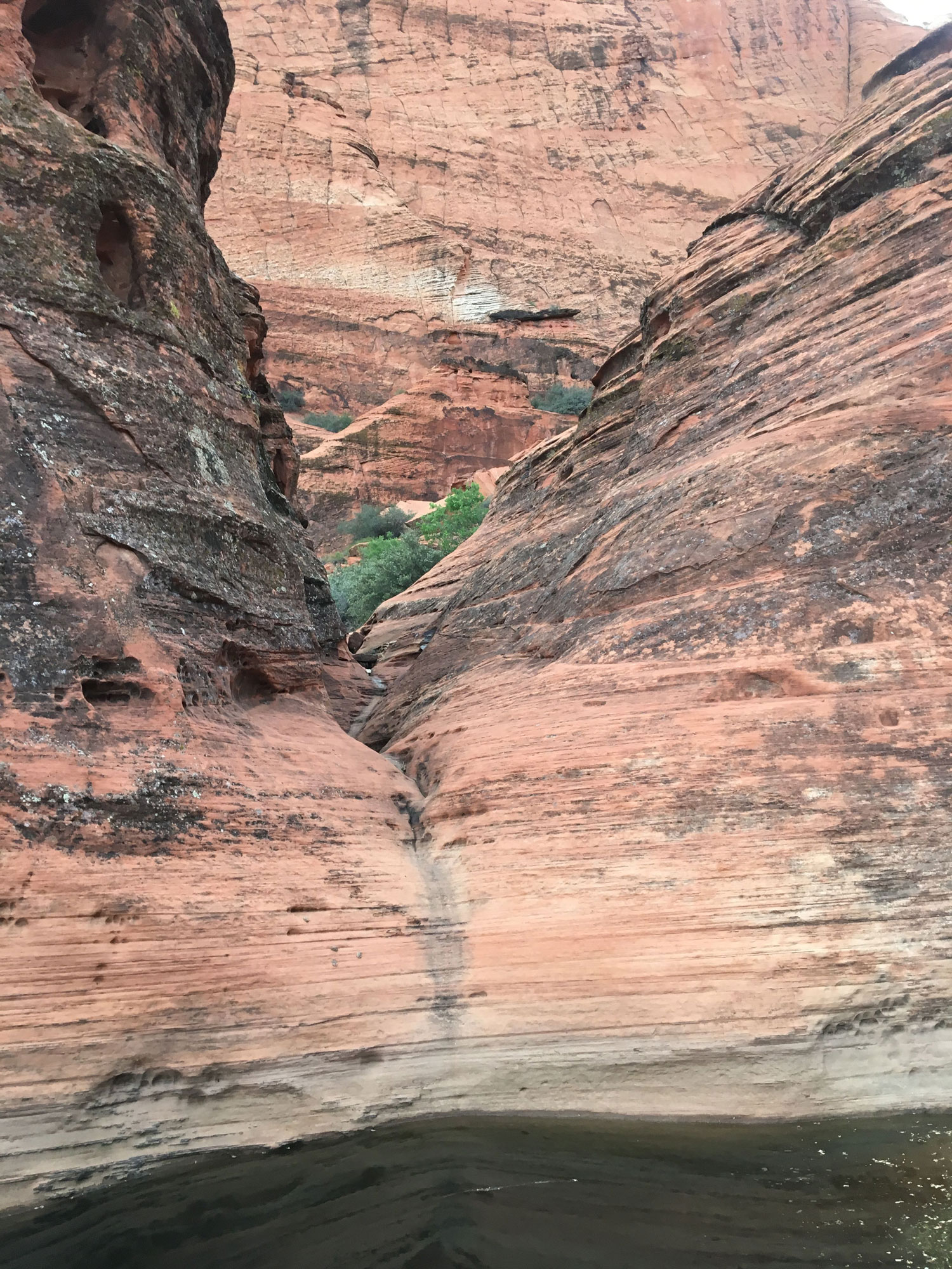 Three Ponds in Snow Canyon