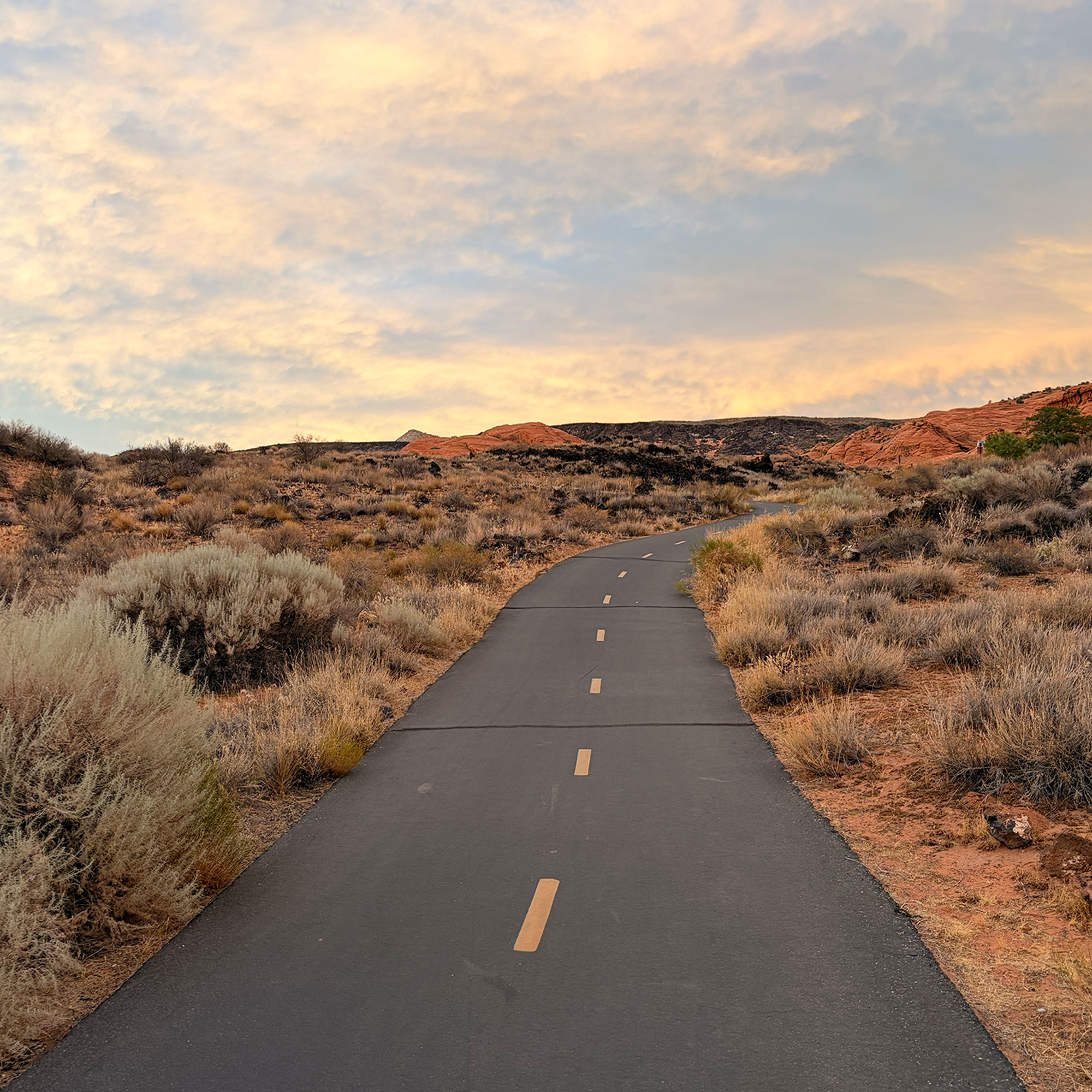 Whiptail Trail Snow Canyon