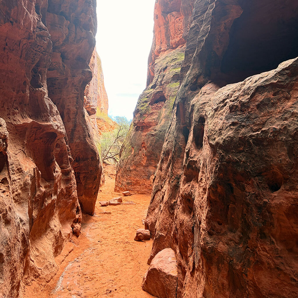 Jenny's Canyon Snow Canyon State Park