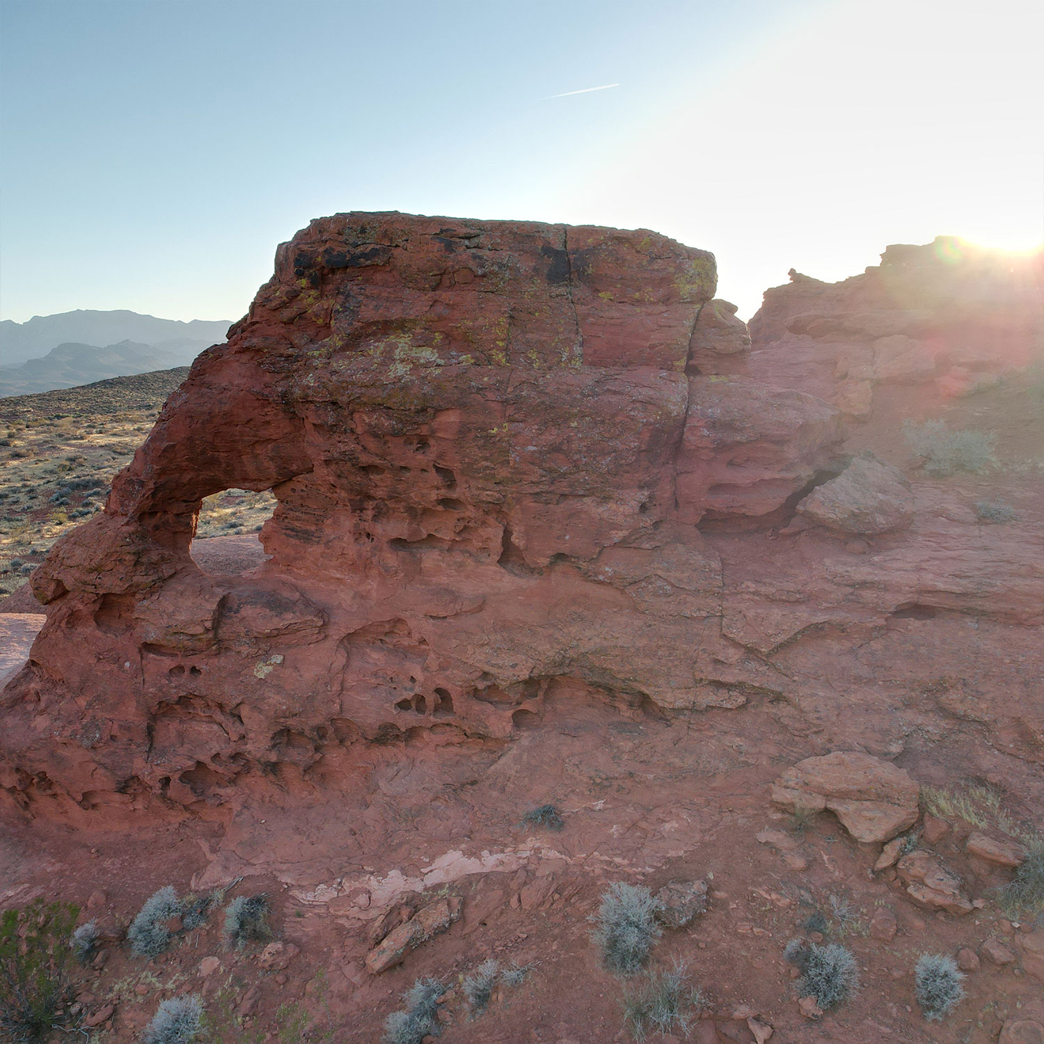 Chuckwalla Arch