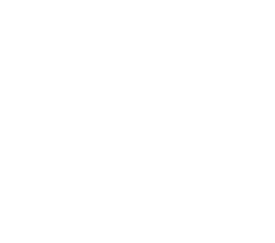 Pickleball icon