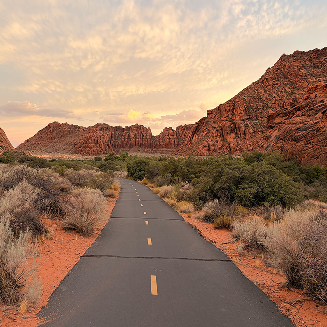 Whiptail Trail Snow Canyon