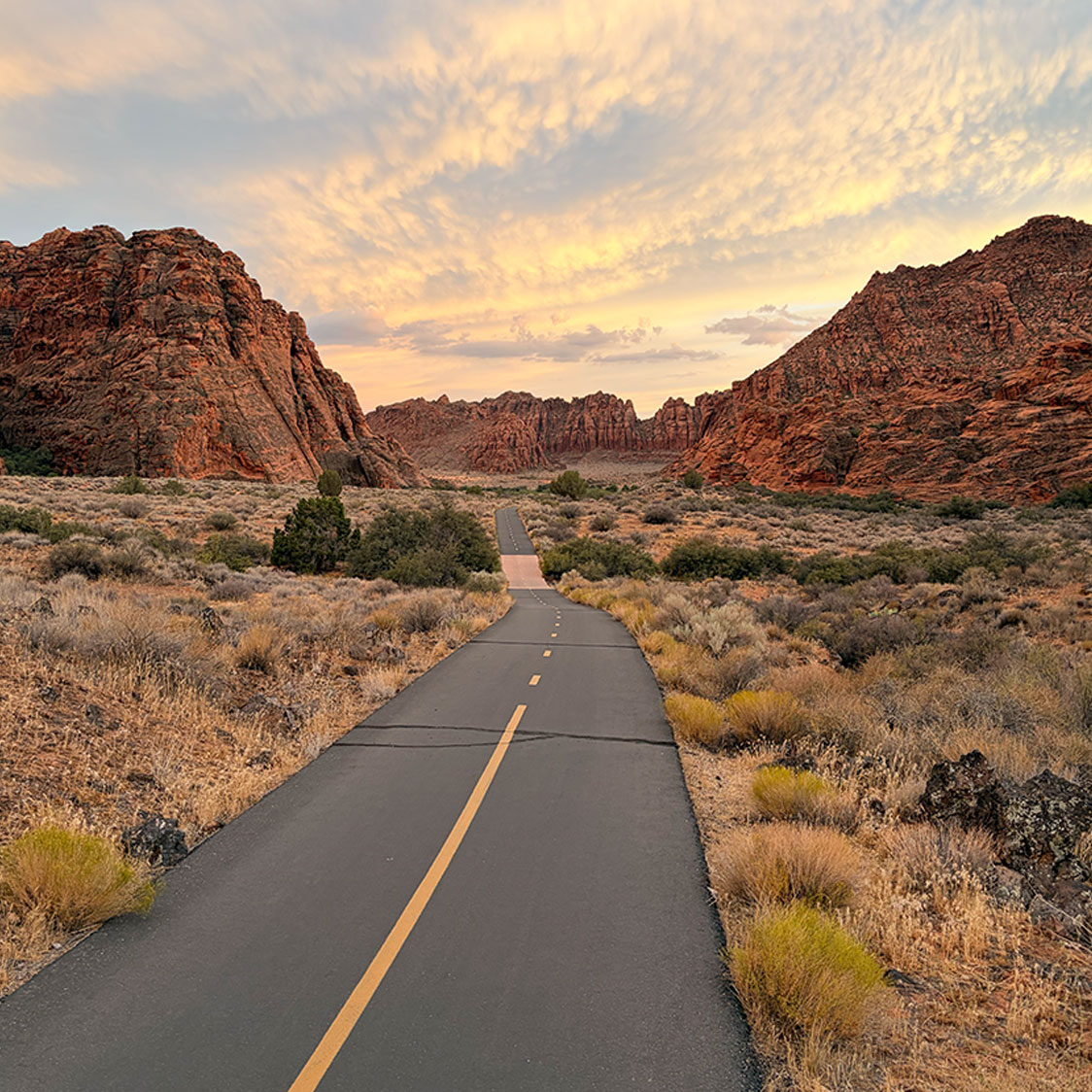 Whiptail Trail Snow Canyon