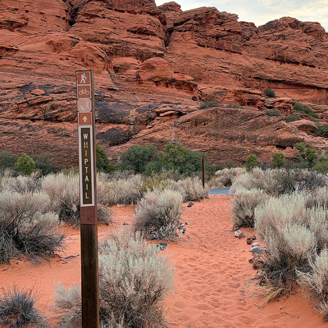 Whiptail Trail Snow Canyon