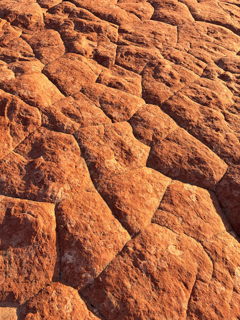 Petrified Sand Dunes at Snow Canyon State Park