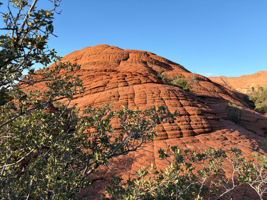 Petrified Dunes Snow Canyon State Park