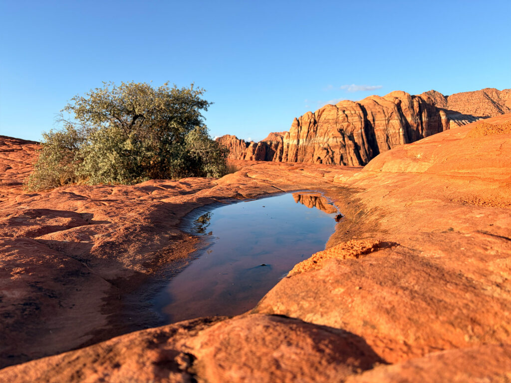 Petrified Dunes or Petrified Sand Dunes at Snow Canyon State Park