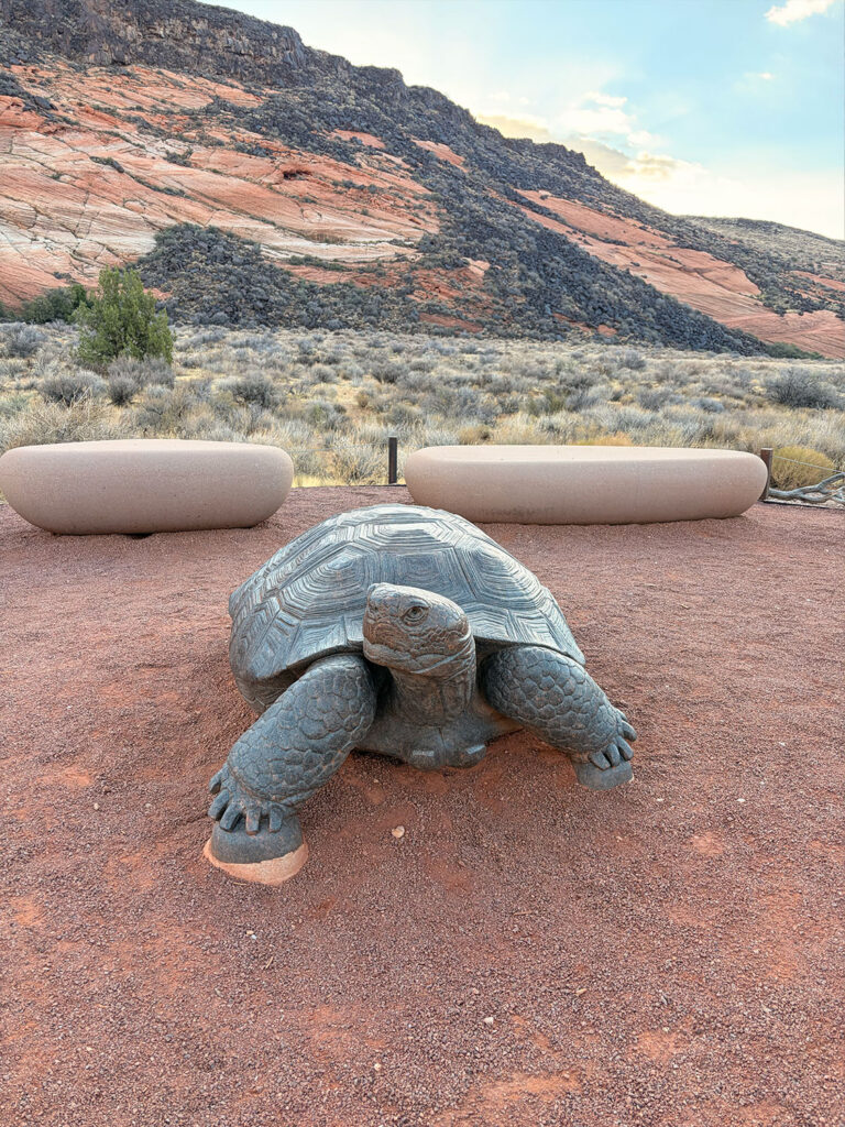 Tortoise Walk Snow Canyon State Park